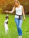 Gobeigo Dog Training Pouch, Pet Treat Bag with Top Zipper, Built-in Dog Poop Bag Dispenser, Fanny Pack for Training, Grey and Orange, 6.5 x 4.7 x 8 inches, Modern