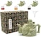 LURRIER Assassins Teapot, Handmade Chinese Ceramic Tea Kettle, One Pot Three Drinks,Two Chambers Teapot, Drink Dispenser, Magic Trick Teapot with Gift Box, 16 oz(Green