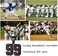 AIAINAGI Baseball Number Necklace for Boy 00-99 Athletes Jersey Number Necklace Stainless Steel Chain Baseball Charm Pendant Personalized Baseball Gift for Men