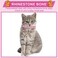 Saintrygo 6 Pcs Girl Puppy Collars Pink Dog Collar Rhinestones Dog Cat Collar Bling Diamond with Rhinestone Crown Flowers Bowtie Bone Decoration for Girl Dogs Cats Collar Accessories, Pink(X-Small