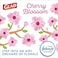 Glad OdorShield Small Drawstring Trash Bags, 4 Gallon Trash Bag, Febreze Cherry Blossom, 34 Count (Package May Vary
