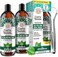 GuruNanda Pulling Oil with CoconutPeppermint Essential Oil for Oral Health, Natural Teeth Whitening, Helps Fight Bad Breath, Healthy Gums, Alcohol Free Mouthwash (8 Fl.Oz. x 2