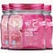 WBM Natural Solution 5-in-1 Laundry Pods, Total 96 Count, Ultra Concentrate with Powerful Stain Lifter Technology, Fabric Softener With Rose Extracts, Detergent Pods, 32 Count/Each (Pack of 3