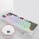 Owpkeenthy RGB Mechanical Keyboard 60 Percent Red Switches, Ultra-Compact Mini Wired Gaming Keybaord with Backlit PBT Dye-Sub Keycaps for Win/Mac/PC (White/Red Switch