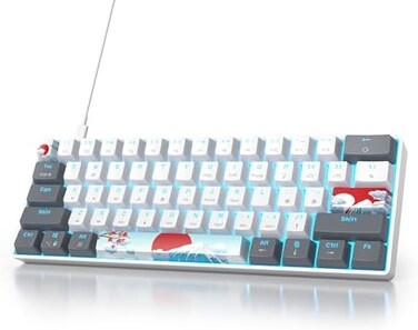 Owpkeenthy RGB Mechanical Keyboard 60 Percent Red Switches, Ultra-Compact Mini Wired Gaming Keybaord with Backlit PBT Dye-Sub Keycaps for Win/Mac/PC (White/Red Switch