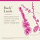 Bach Remedies Bach Original Flower Remedies, Larch for Confidence (Non-Alcohol Formula, Natural Homeopathic Flower Essence, Holistic Wellness and Stress Relief, Vegan, 10mL Dropper