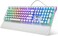 RK ROYAL KLUDGE White Typewriter Mechanical Gaming Keyboard with Rainbow RGB BacklightSidelight, Retro Punk Round Keycaps, and Removable Wrist Rest