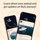 Fahlo Shark Tracking Bracelet, Elastic, supports Saving The Blue, one size fits most for Men and Women
