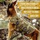 OneTigris No Pull Tactical Dog Harness for Medium Large Dog, Mesh Design Breathable Service Dog Vest with Handle, Military Dog Vest Harness with Molle Panels for Walking Hiking Training (XL, Brown