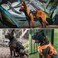 OneTigris No Pull Tactical Dog Harness for Medium Dog, Mesh Design Breathable Military Dog Molle Vests with Handles, Service Dog Vest Harness for Walking Hiking Training (L, Black