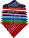 triumphal FANNI YOUPIN 100% Cotton Fine thick Bandanas/Fashion Scarf for MenWomen Paisley printed 22 inches, 12 Colors, 22x22 inches