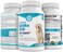 PAWSITIVE LABS SAMeLQ 100, Liver Support for Dogs, SAM e Chewable Hepatic Support for Dogs, Promotes Cell Membrane Strength, Bacon Flavor (60 Counts