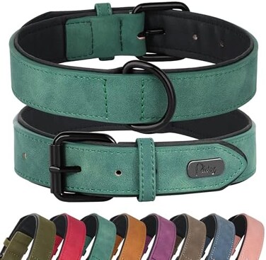 Didog Soft Padded Leather Dog Collar, Durable Leather Dog Collar with Adjustable, Rustproof Metal Buckle for Small, Medium and Large Dogs, Green, XL