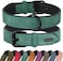 Didog Soft Padded Leather Dog Collar, Durable Leather Dog Collar with Adjustable, Rustproof Metal Buckle for Small, Medium and Large Dogs, Green, XL