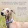 Nina Woof Cupertino Dog Collars, HarnessesLeashes Made from Vegan Leather with Dog Tracker Device Holder Adjustable Dog Collar (Extra Small, Blue