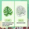 NICEVINYL Iron on Patches for Clothing: 100Pcs Random Assorted Styles Funny Patch Repair Embroidered Appliques for Clothes Sew on/Iron on Jackets Backpacks Hat Dress Fabric for DIY Accessories