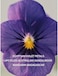 Victoria's Secret Bare Eau de Parfum, Notes of Australian Sandalwood, Mandarin MadagascarEgyptian Violet, Perfumes for Women (3.4 oz