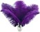 Ballinger Purple Ostrich Feathers Bulk - 24Pcs 10-12inch Feathers for Vase, Party Centerpieces Mardi Gras and Home Decor