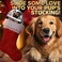 Primens Natural Revitalizing Dog Paw Pad BalmNose - Lick Safe Moisturizer for Cracked Paws Protection, Nourish Repair Damage, Dryness, Heat, Winter Snow With Vitamin EAloe - 140g Pet Cat Dogs Wax