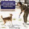Primens Natural Revitalizing Dog Paw Pad BalmNose - Lick Safe Moisturizer for Cracked Paws Protection, Nourish Repair Damage, Dryness, Heat, Winter Snow With Vitamin EAloe - 140g Pet Cat Dogs Wax