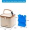 BABEYER Breastmilk Cooler Bag with Ice Pack Fits 4 Baby Bottles Up to 5 Ounce, Baby Bottle Cooler Bag Great for Nursing Mom Daycare, Cream