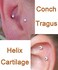 Longita Fake Nose Ring Hoop Fake Septum Fake Nose Ring Magnetic Fake Nose Rings for Women Fake Nose Piercing Fake Double Hoop Fake Nose Ring Fake Earrings Hoop