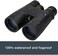 Celestron &ndash; Nature DX 10x50 Binoculars &ndash; Outdoor and Birding Binocular &ndash; Fully Multi-Coated with BaK-4 Prisms &ndash; Rubber Armored &ndash; FogWaterproof Binoculars