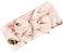 Galabloomer Newborn Receiving Blanket Headband Set Flower Print Baby Swaddle Receiving Blankets (Vintage