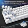 DIERYA 60% Mechanical Keyboard, DK61se Wired Gaming Keyboard with Blue Switches, LED Backlit Ultra-Compact 61 Keys Mini Office Keyboard for Windows Laptop PC Gamer Typist（White