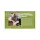 SILCA tubeless Tire sealant (Step 1: Base Sealant with Carbon, 16oz