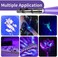 COSOOS 2 UV Black Light Flashlight, 2 Pack 395nm Mini Pen Light with Clip, Waterproof Ultraviolet Flashlight for Leak, Pet Urine, Scorpion, Hotel Inspection, Dry Stain and Bed Bug.