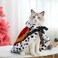 عباءة فرو فاخرة من Lovelyshop Pet Serial للكلاب والقطط، مثالية لأزياء الهالوين، ولأزياء التنكر للملوك والملكات والأمراء والأمراء (صغير، أحمر)