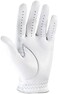 FootJoy Men's StaSof Golf Glove
