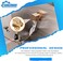 طقم تركيب صنابير حائطية نحاسية من Sunluway (عبوة من قطعتين B-0230-K) متوافق مع صنابير طراز B-0230، لأجسام صنابير T و S، مع وصلة أنثى × ذكر NPT مقاس 1/2 بوصة، وصامولة قفل، وغسالة، وكوع قصير