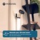 Motorola Nursery Baby PIP1610 HD - 5" Motorized Video Baby Monitor w/Camera, Wall Mount, 1000ft Range, Two-Way Audio, Room Temperature Monitoring - Private Connection (No Wi-Fi, Does Not Use App