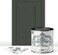 Heirloom Traditions Paint ALL-IN-ONE Envy (Slate Green, 32 Fl Oz Quart. Durable cabinet and furniture Built in primer and top coat, no sanding needed.
