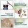 Yahenda 100 Sets Vintage Key Bottle Openers for Wedding Favors and Guests - Bulk Rustic Souvenir Gift With Thank You Tag, Jute Rope, Lace Candy Box for Party