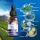 GuruNanda Concentrated Mouthwash, Helps with Bad Breath, Promotes Teeth Whitening, Made with 100% Natural Essential Oils, 1 Bottle Equals 300 Rinse, Fluoride-Free - Mint Flavored (2 oz