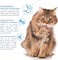 INABA Churu for Cats, Functional, Creamy Lickable Pur&eacute;e Cat Treat for Hairball Control with TaurineVitamin E, 0.5 Ounces Each, 4 Tubes (Pack of 6