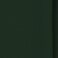 Lann's Linens - 120" Round Premium Tablecloth for Wedding/Banquet/Restaurant - Polyester Fabric Table Cloth - Hunter Green