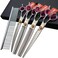 Smithking Professional Dog Grooming Shears Set Dogs StraightthinningCurved scissorschunkers Scissorswith comb in 1 Set for Right-handedLeft-handed (8.0 Silvery right-handed