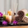 Nuogo Wood Riser Tray Soap, Stand Soap Tray for Kitchen Sink, Wood Pedestal for Kitchen Counter Sink Stand Decorative Rustic Bathroom Dishes for Plant Bottles Candles Display (Brown, 12 x 7 Inch