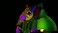 Maximum Entertainment Maximum Games Five Nights at Freddy's Security Breach Game for PS5