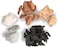 HITT Edible Clay Chunks Set &ndash; 5 Sorts of Clay for Eating 8.8 oz (250 grZero Additives ASMR Food for Pica Cravings, Handpicked Edible Dirt