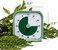 TIME TIMER (, Fern Green- Home MOD - 60 Minute Kids Visual Home Edition - for Homeschool Supplies Study Tool, for Kids Desk, Office Desk and Meetings with Silent Operation (Fern ...