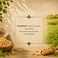 Carrefour Bio Organic Chickpeas, 500g