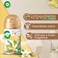 Air Wick Automatic Air Freshener Spray Refill, Vanilla Scent, 250ml Pack of 2