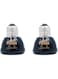 WANGCL 2pcs Reptile Heating Bulbs, Durable Infrared Heat Lamp Warming Light Bulb Black Pet Light for Reptile and Amphibian Lizard Tortoise Spider Snake Chameleon 220-230V(100W)