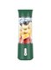 STAYOUNG Portable Blender - Smoothie Blender, Portable Juicer Blender Smoothie Maker, Mini blender, High Speed 6-Blades for Office, Home,Travel, Baby Food Blender, 500ML (Green)