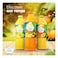 Hayatna Pure Mixed Fruit Nectar No added Sugar1L
